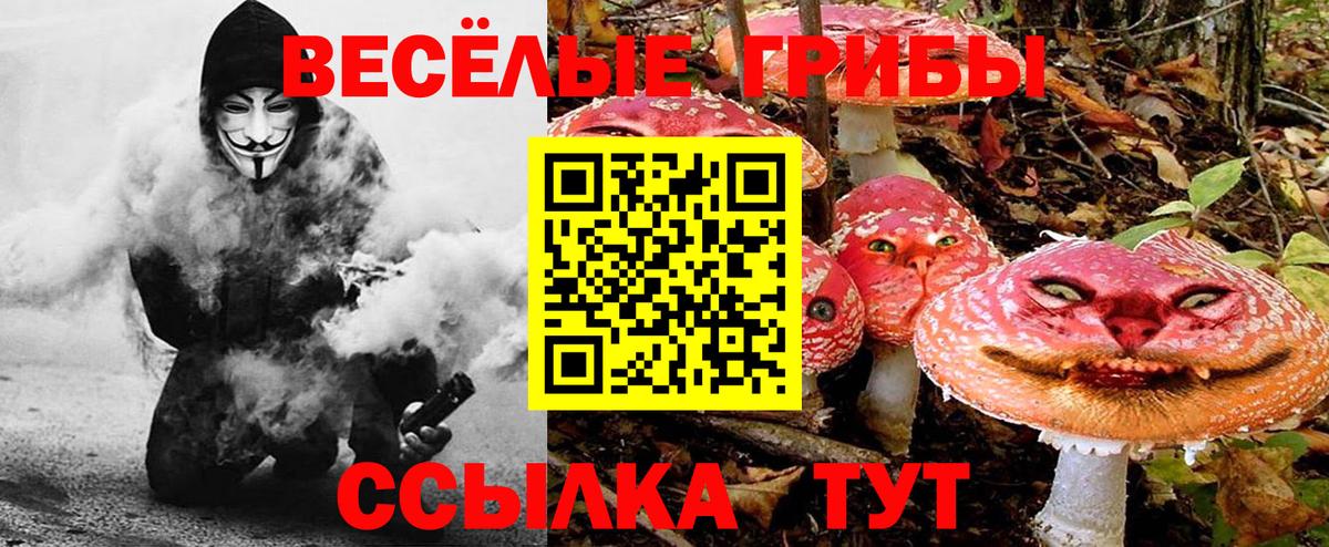 Галлюциногенные грибы Psilocybine cubensis  Вход с VPN  Галлюциногенные грибы MAGIC MUSHROOMS  Петрозаводск 