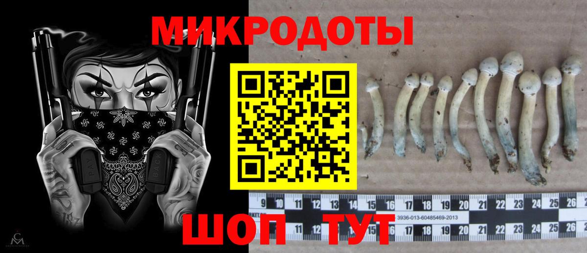 Канабис  Мефедрон  Петрозаводск  МДМА  Амфетамин кристаллы  Меф   ЭКСТАЗИ  ГАШИШ  APVP СК   Cocaine  Вход с VPN 