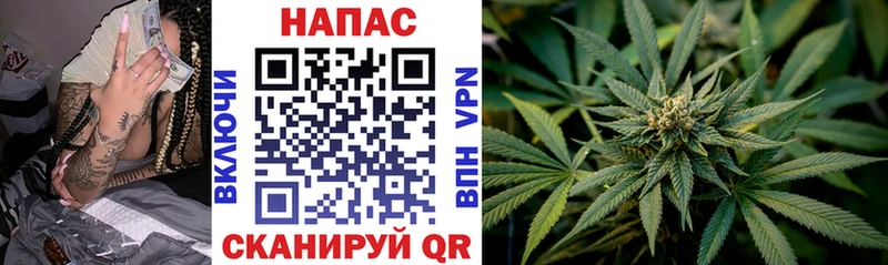 ссылка на мегу tor Петрозаводск Шишки марихуана VHQ как найти наркотики